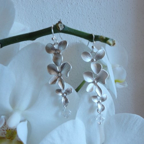 Ledová orchidej — foto 2