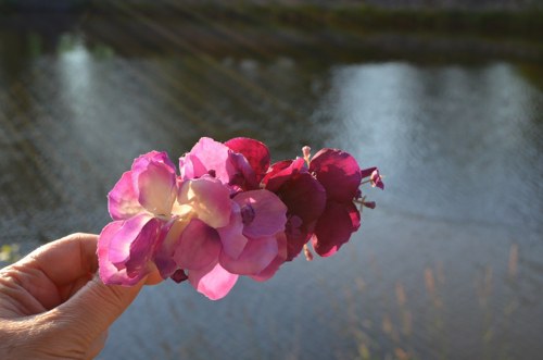 Hortenzie zakletá - spona do vlasů — foto 2