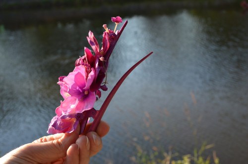 Hortenzie zakletá - spona do vlasů — foto 4