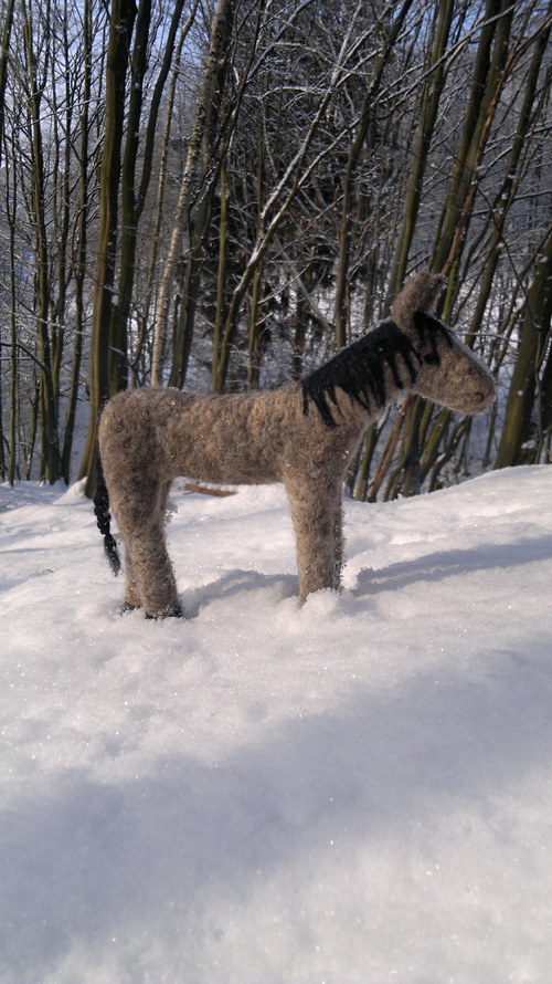 Koník — foto 6