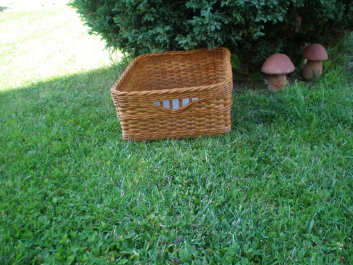 Mořená zásuvka — foto 2
