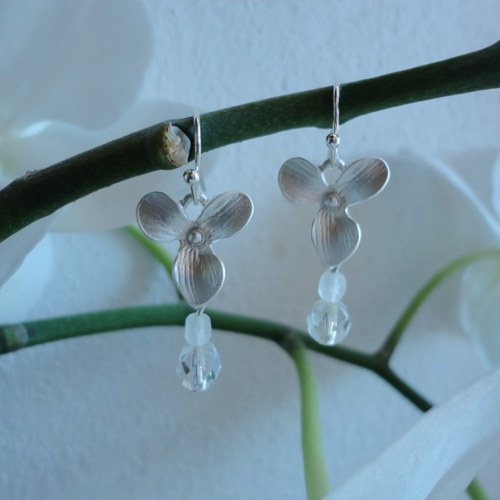 Ledovková orchidej — foto 2