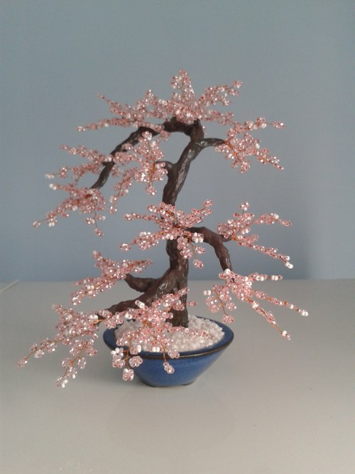 Rosa sakura - slevněno z 600,- — foto 3
