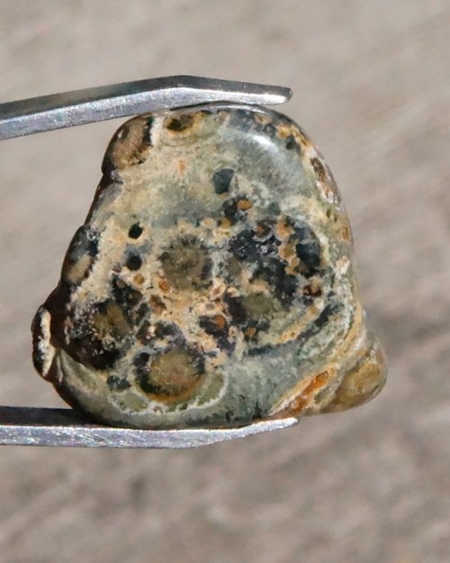 Surovina Jaspis kambaba - Nebula stone D89 — foto 3