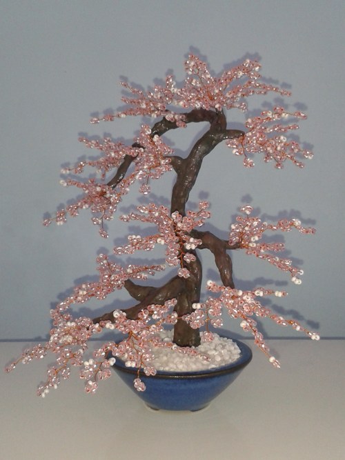 Rosa sakura - slevněno z 600,- — foto 5