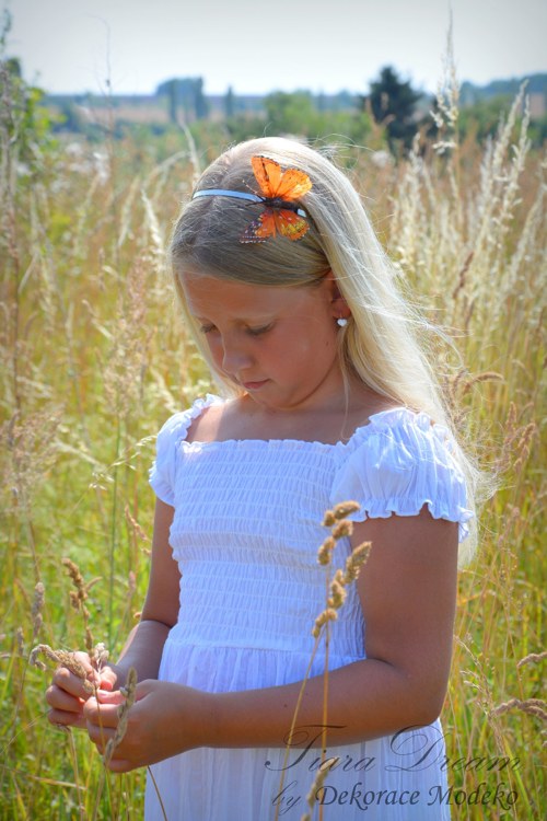 Čelenka "Motýlí křídla" — foto 2