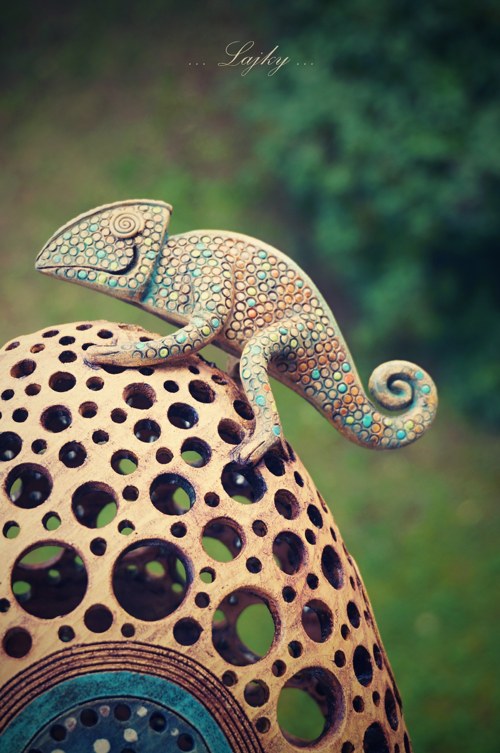 Chameleon na kopci... — foto 4