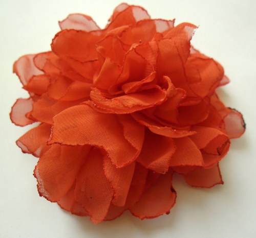 Oranžová pivoňka — foto 2