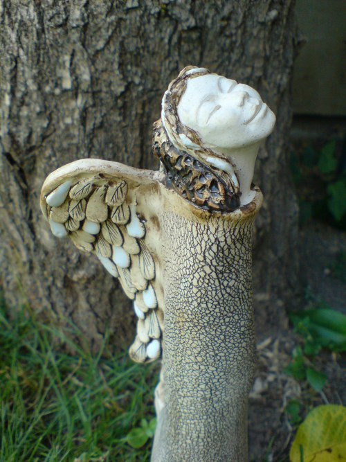 Zasněný anděl — foto 2