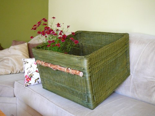 Box velký 53x53 - zelený - rezervace — foto 5