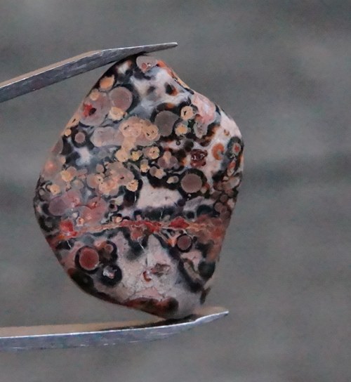 Jaspis leopardí D274 — foto 2