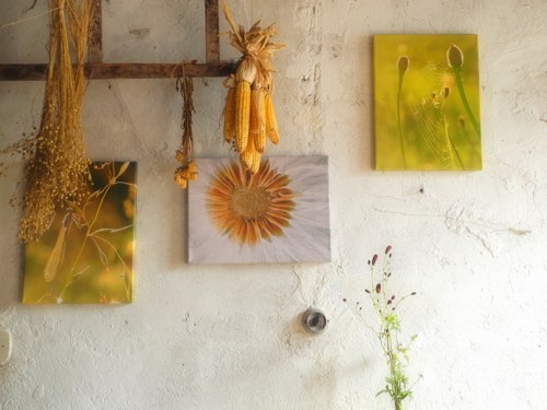 Letní loukou, plátno 30 x 40cm — foto 2