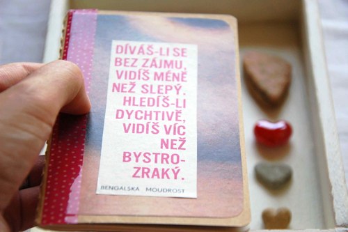 Zapsáno... — foto 4