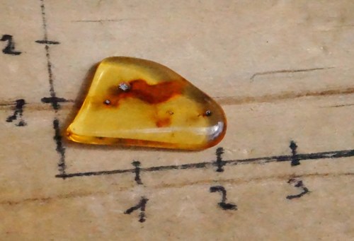 Pravý jantar D412 — foto 2