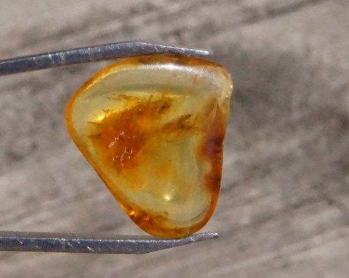 Pravý jantar D420 — foto 2