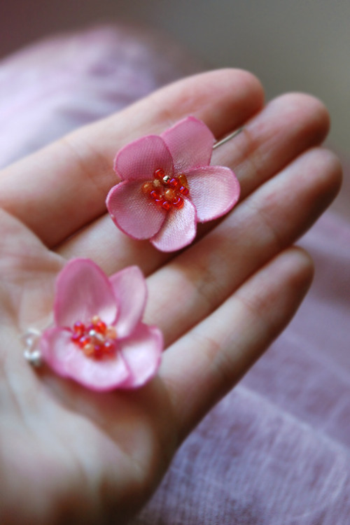Šípkové květy — foto 2