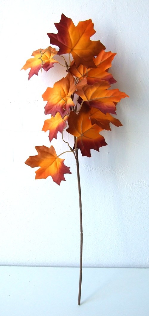 Podzimní větévka — foto 2