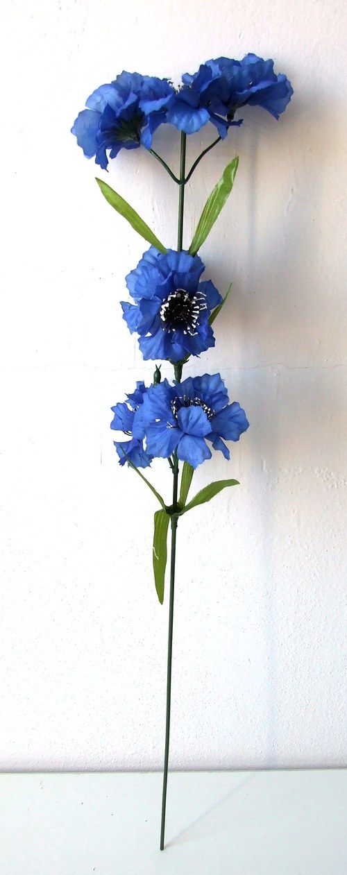 Chrpa — foto 2