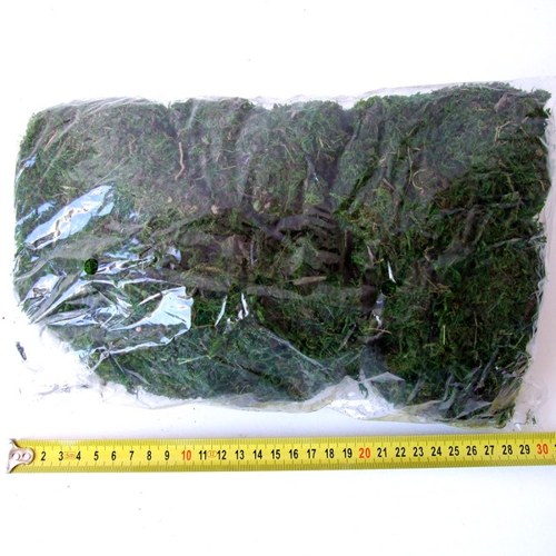 Přírodní mech 100 g — foto 3