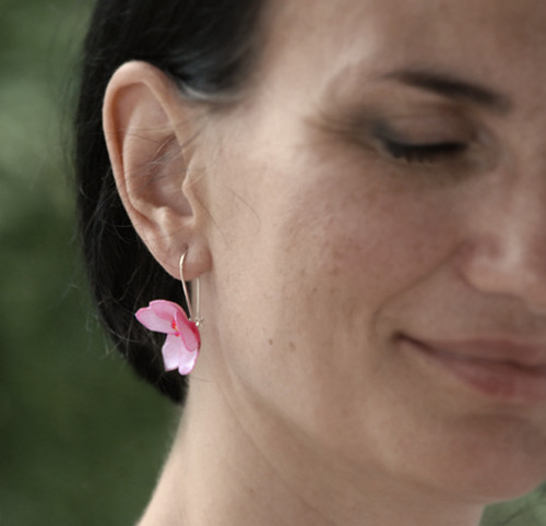 Šípkové květy — foto 5