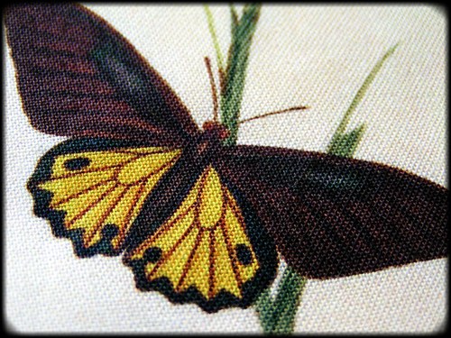Motýli (19) (látkový panel) — foto 2