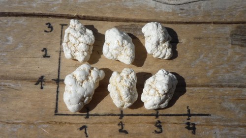 6 ks magnezit D466 — foto 2