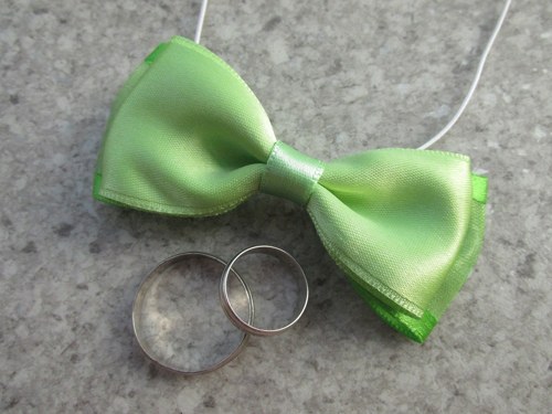 Motýlek vázankový_8 — foto 3