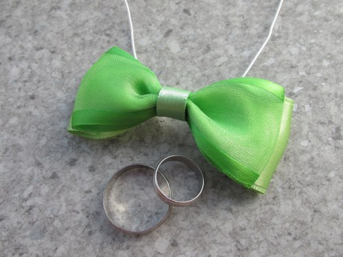 Motýlek vázankový_9 — foto 3