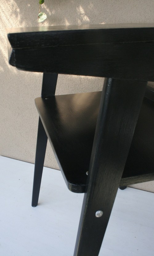 ČERNÝ ELEGÁN :) — foto 3