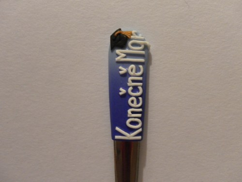 Gratulace k promoci — foto 6