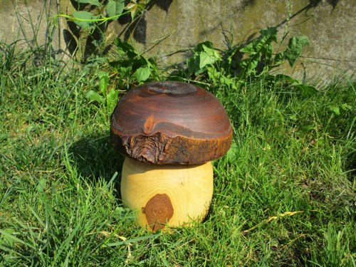 Hříbek — foto 2