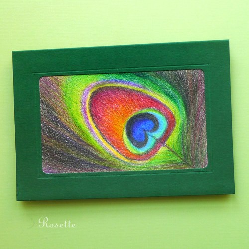 Paví péro ... - přání — foto 3