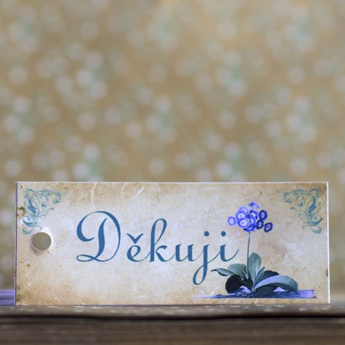 Děkuji-Květinové — foto 3