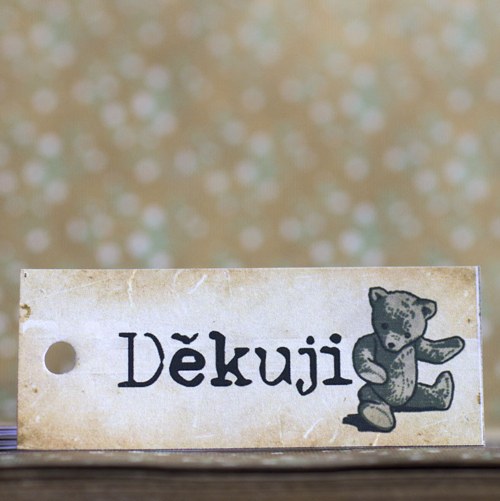 Děkuji-Medvídek — foto 2