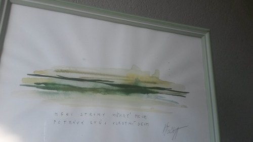 Mezi stromy měkký mech — foto 3