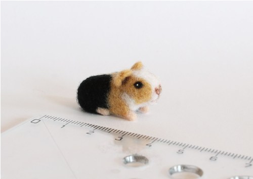 Mini morčátko — foto 2