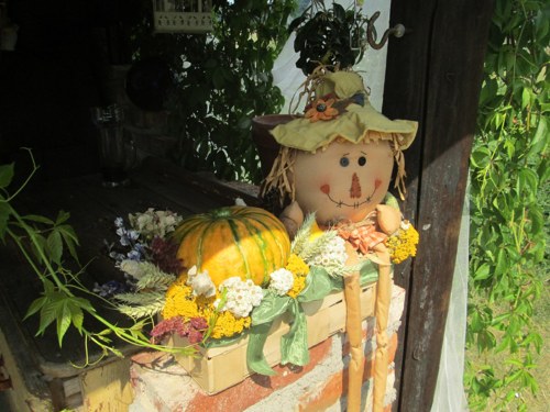 Podzimníček Dobroděj — foto 3