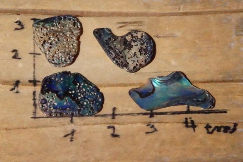 Sada - paua mušle D656 — foto 2