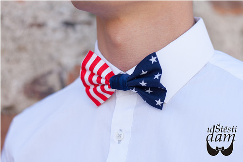 Motýlek American — foto 3