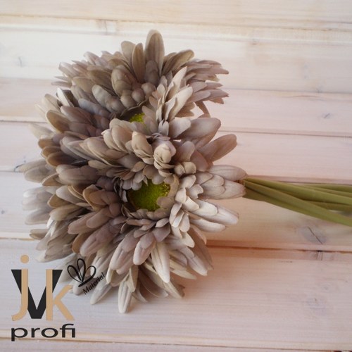Gerbera - šedá — foto 2