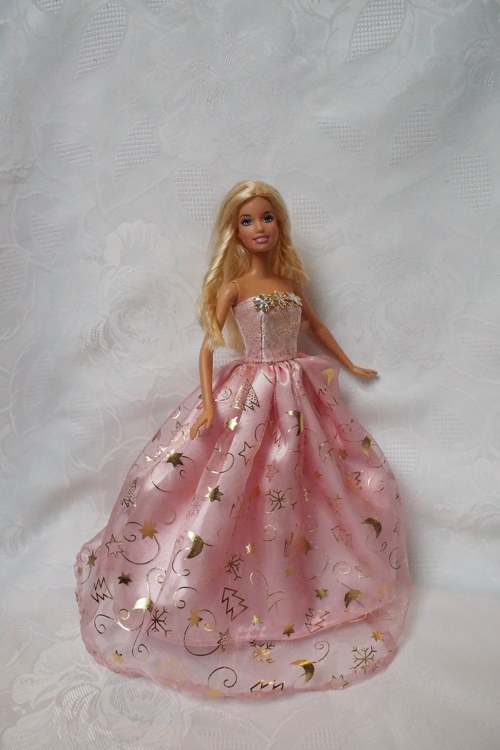 Růžová princezna — foto 3
