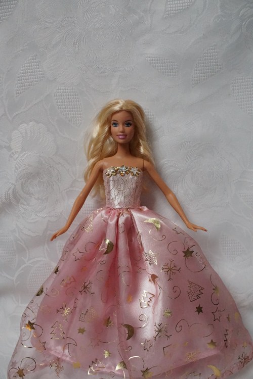 Růžová princezna — foto 5