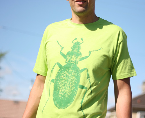 Tuesday beetle green / tričko — foto 2
