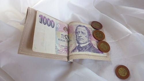 Dolarovka slonová kost — foto 4