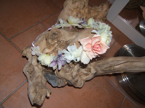 Věneček — foto 2