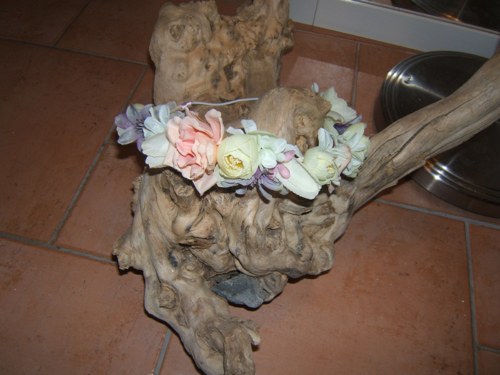 Věneček — foto 3