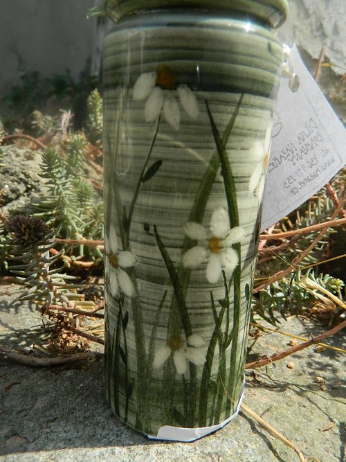 Něžné sasanky sleva — foto 2