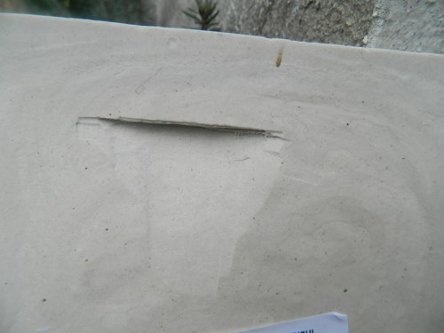Modrý sen — foto 5