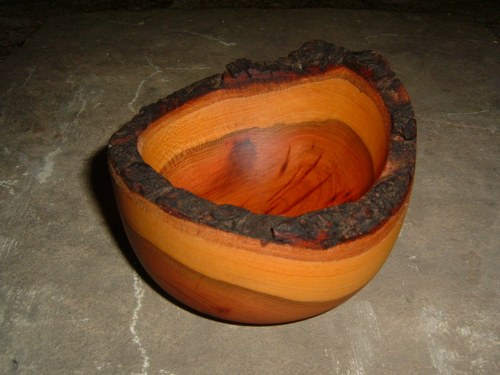 Jiná kůrová — foto 2