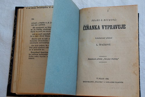 Bisnagarská princezna — foto 3